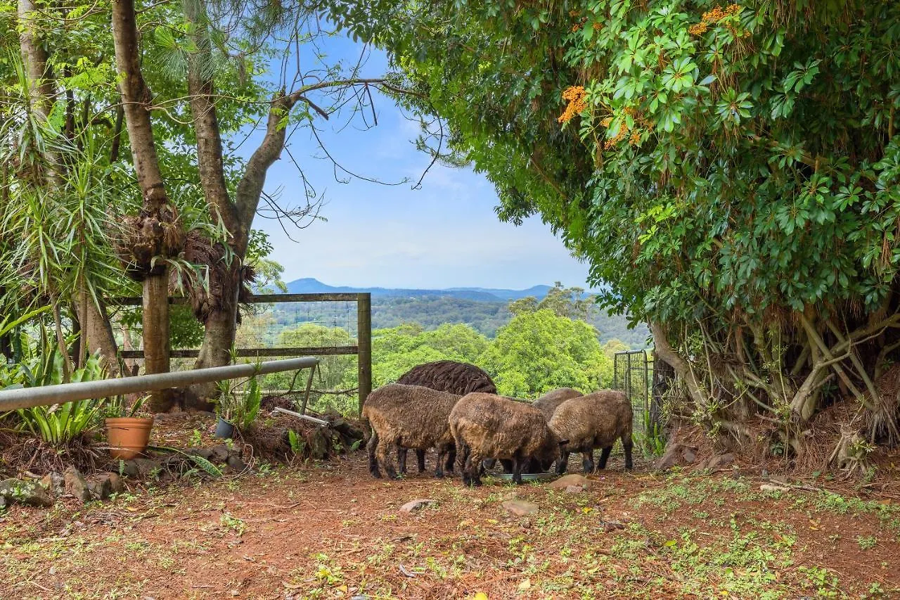 Σπίτι διακοπών Serendipity Farm Mapleton Αυστραλία